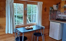 Delightful Studio Log Cabin , With Sauna